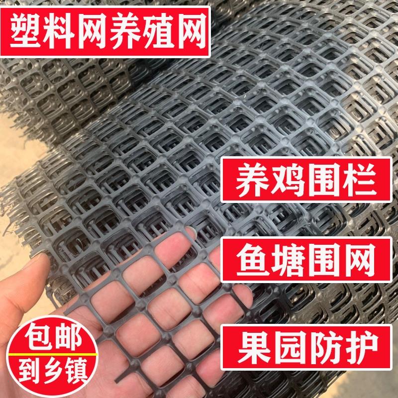 塑BNP料菜网格防护养殖养鸡鸭围栏园鱼塘果园栅栏拦户外家用鸡胶
