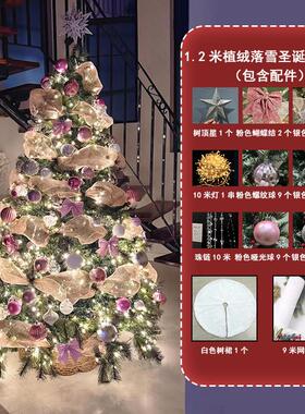 款2025植新绒落雪客TXX圣诞树家用厅商场酒圣店仿真大型诞节装饰