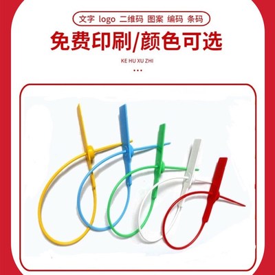 塑料铅封一次性封条物流防盗标签吊牌G煤运扎带货车集装箱签鞋包