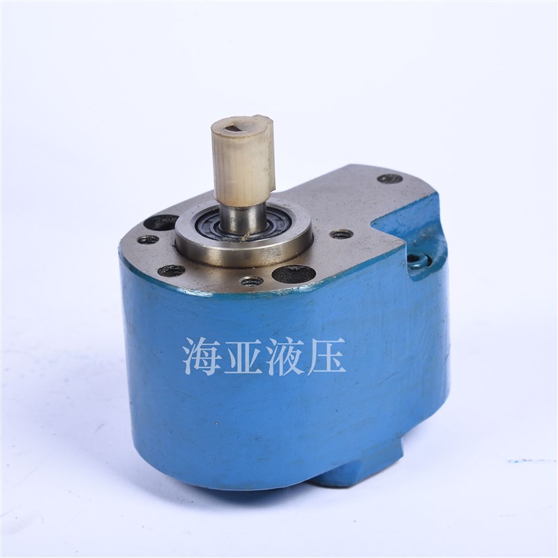 CB-B10/4/6/2.5m/16/20/25/32/40/50/63/100/125机床液压齿轮油泵