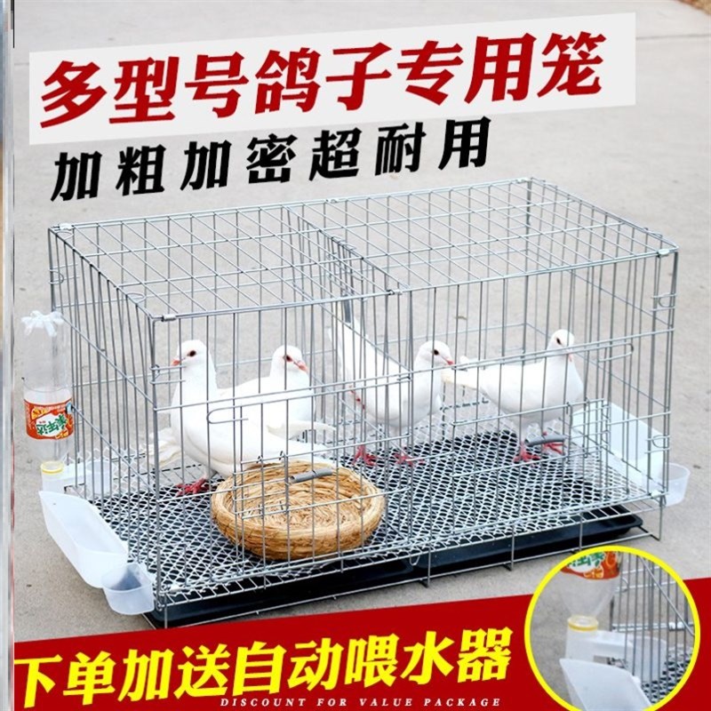速发肉鸽鸽子用品繁殖配对大号笼加粗用具鸽子笼信鸽笼子养殖鸽子