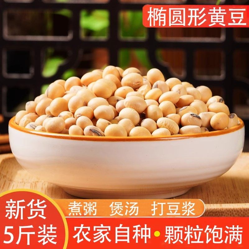 正宗农家自种笨椭圆黄豆500g土大豆长粒肾型酱豆豆浆原料老品种可