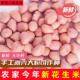 现剥新花生米生新货特级粉皮新鲜大粒花生米不带壳榨油白沙花生仁