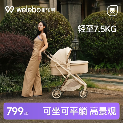 婴儿推车小月龄可坐躺轻便高景观