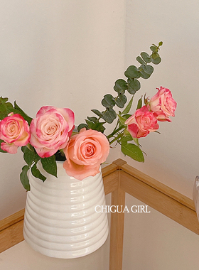 速发陶瓷花瓶摆件客厅风花白色小花瓶插干花花瓶卧室陶罐瓷瓶