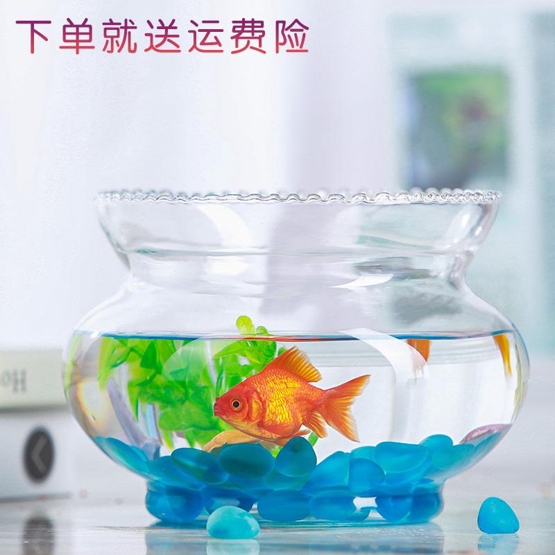 速发透明圆形玻璃桌面缸现时尚水培花器迷你鱼缸花边乌龟缸