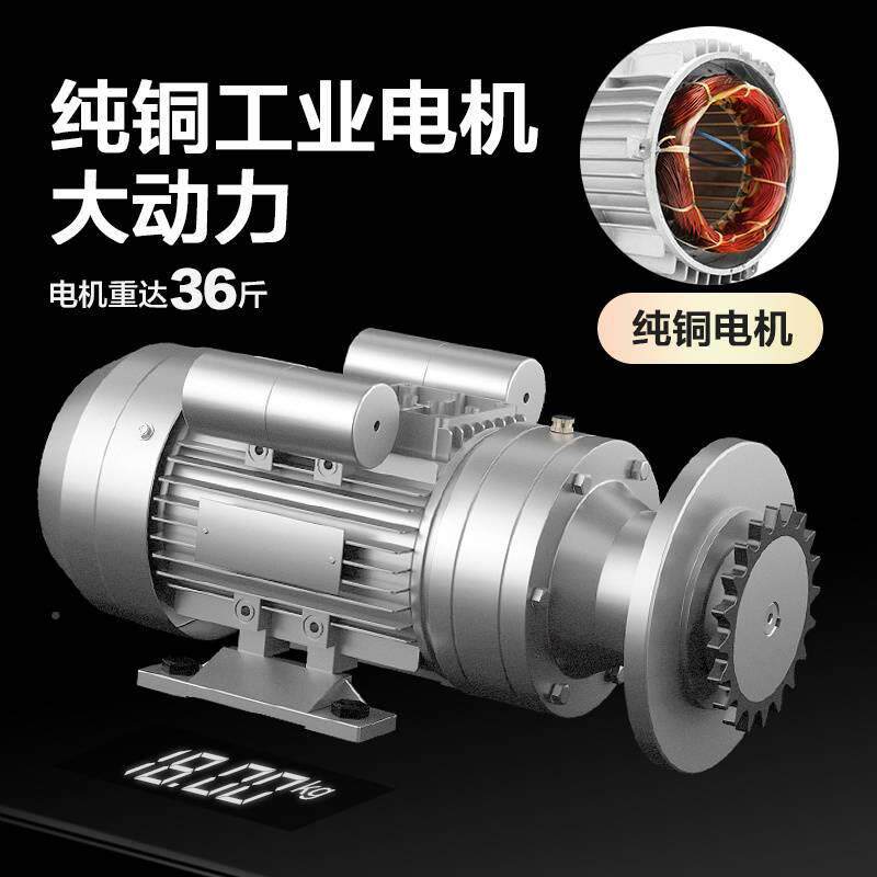 家用生榨油不锈钢商用中机型芝无品牌/麻机油坊小花型香油全自动