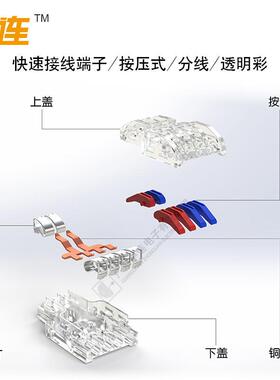 中连快速连端快子二PQZ分八电线速对接连接器按压式锈钢接不线端