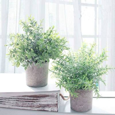 人造盆栽植物假桉树植物迷你塑料绿草带花盆家居餐桌装饰3件套装