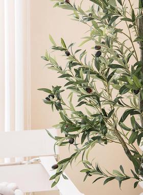 仿真植物栽仿生假绿植摆仿真橄榄树件室假树客厅tb-66404内卧室绿