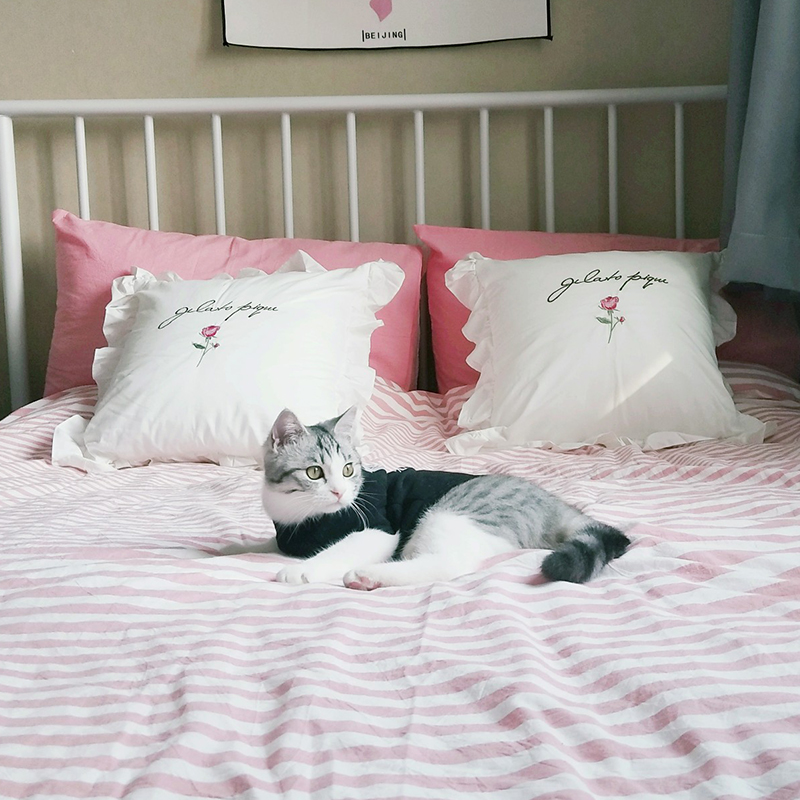 卧室改造沙发靠垫套不含芯刺绣抱枕套刺绣公主IN马小