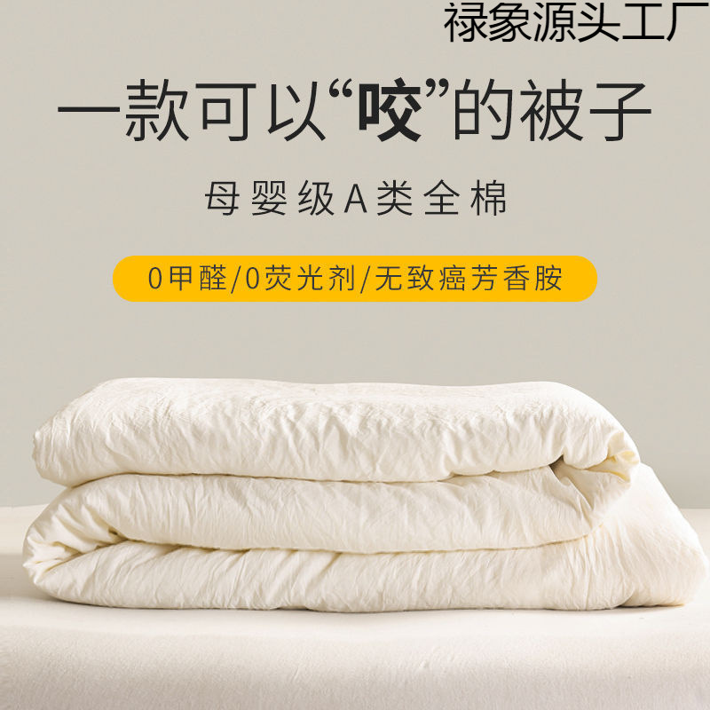 新款原棉大豆纤维被可机洗春被纤维被芯保暖棉被单人春秋被空调被
