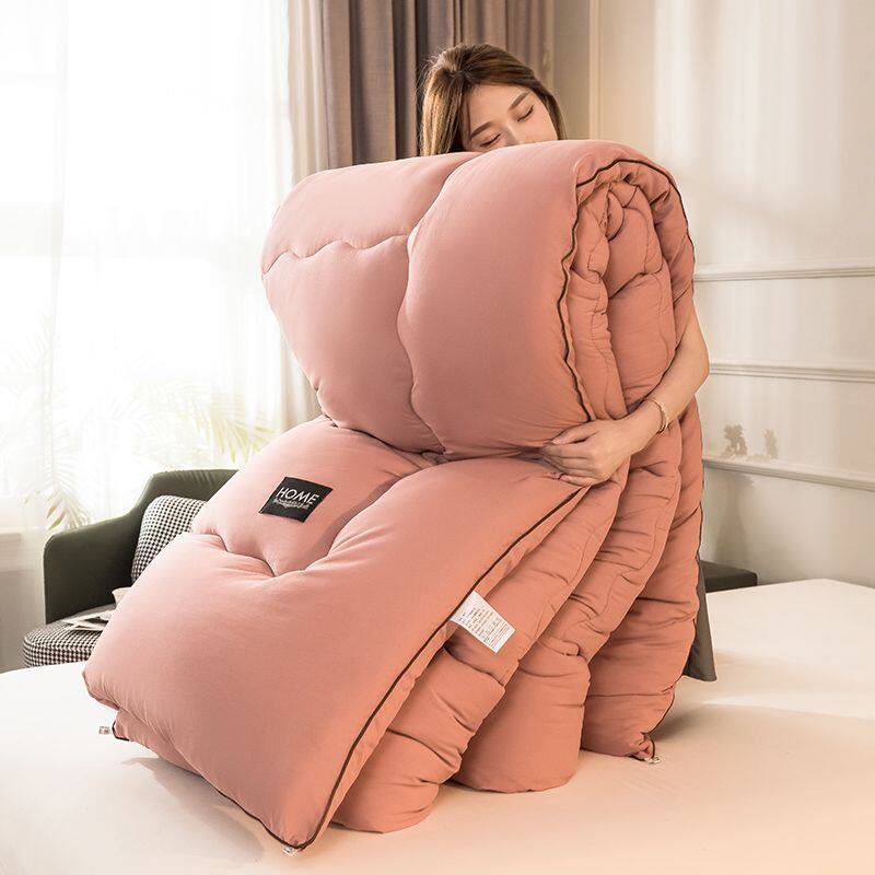 冬季加厚保暖冬被冬天被子芯学生宿舍单双人棉被春秋防寒被褥