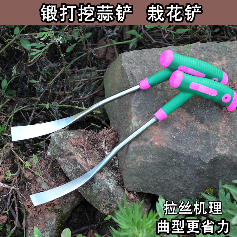 速发蒜铲挖出蒜铲剜蒜铲除草挖野菜农用小铲子草药起根养花种菜铲