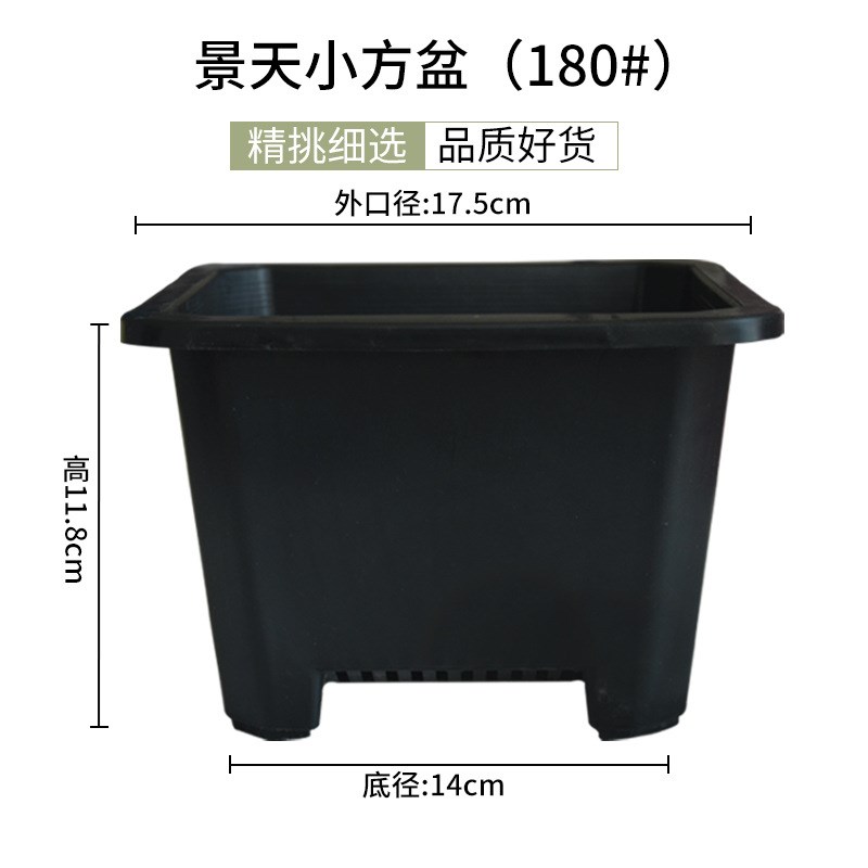 速发小黑方形韩式家用多肉育苗扦插方盆大白方塑料景天花盆养花种