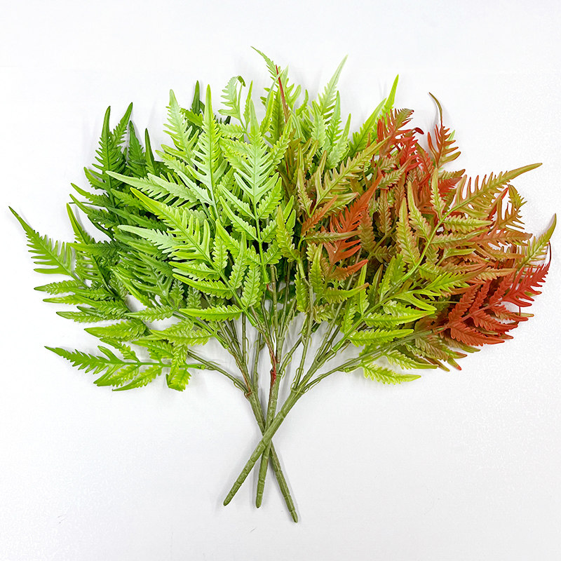 速发真绿色蕨类植物肾蕨大叶蕨草热带雨林软胶绿植墙面景观造景