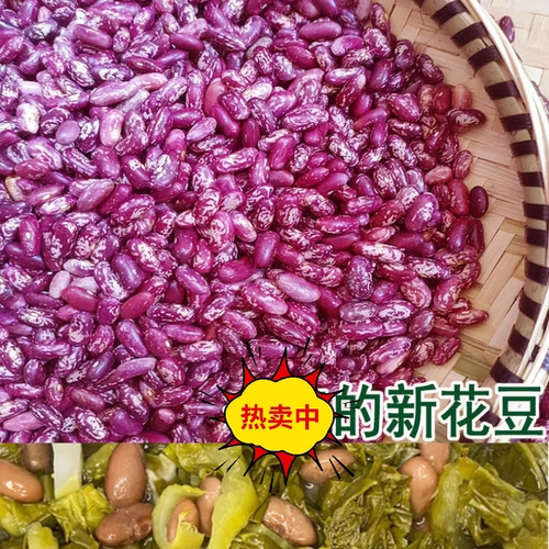 25年贵州新花豆无烂豆10斤包邮