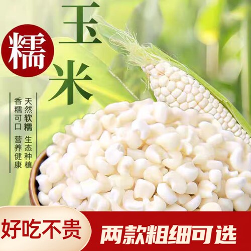 贵州白糯玉米碴子大颗粒煮粥