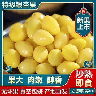 2026白果银杏果新鲜特级特级干货银杏果即食盐焗白果仁官方年货节