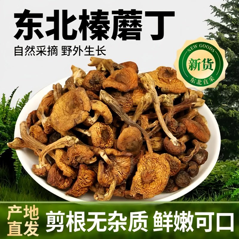 东北纯野生榛蘑丁特级干货农家小鸡炖蘑菇山货特产营养菌菇干蘑菇