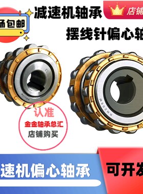 减速机双偏心轴承RN206 o205 309内径偏心套RN312 307 204 219 22