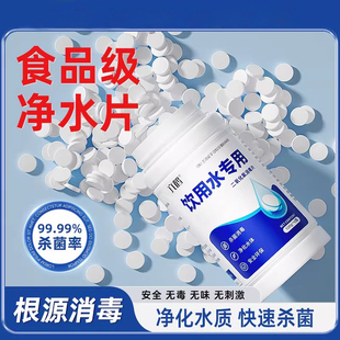 饮用水野外生存净水片专用食用净水片二氧化氯户外水井净水消毒片