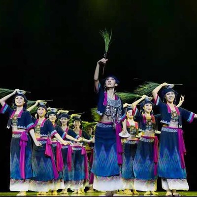 速发荷花奖生响回生舞蹈服少数民族演出服子群舞表演服彝族黎族苗