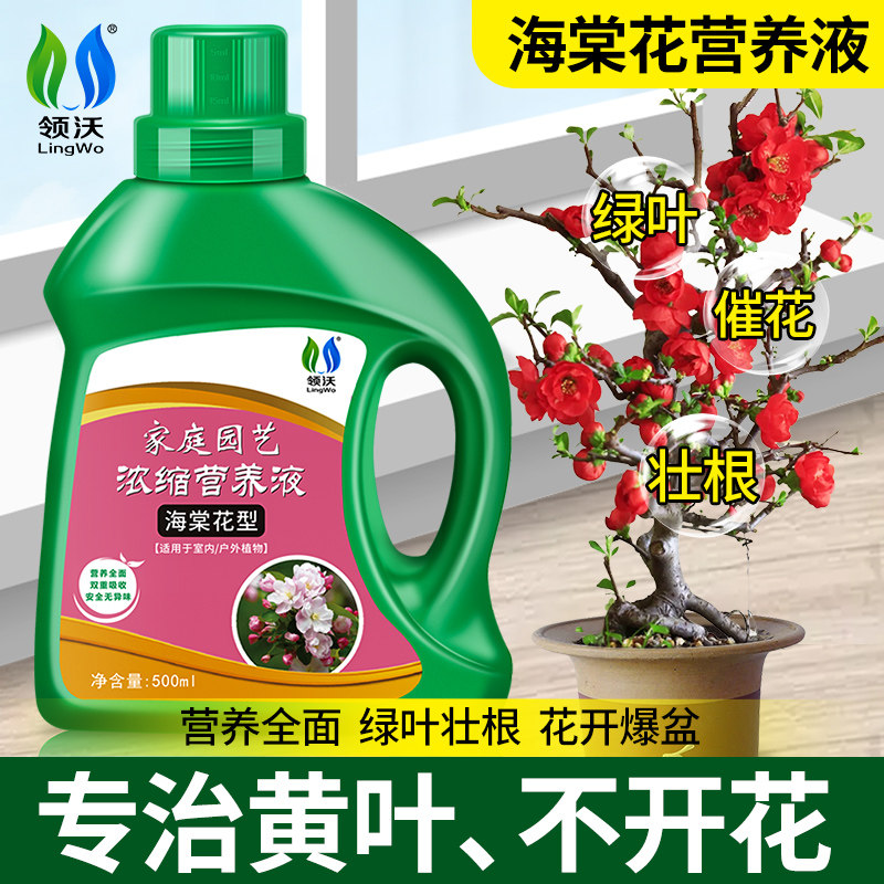 速发海棠花营养液专用肥四季海棠树专栽干枯叶急救花肥台用治通盆