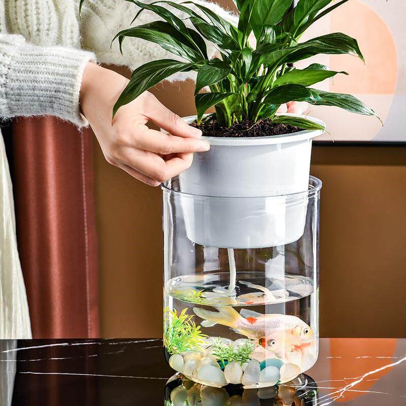速发塑料水培水植物花瓶居家装饰蝴蝶兰绿萝盆桌面小尺寸种植盆多