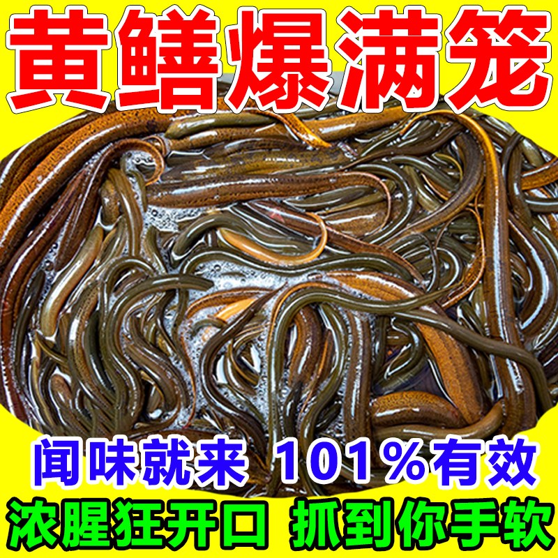 速发黄鳝诱饵小饵一浓度诱食剂野外抓黄鳝稻田高扫光诱捕黄鳝专用