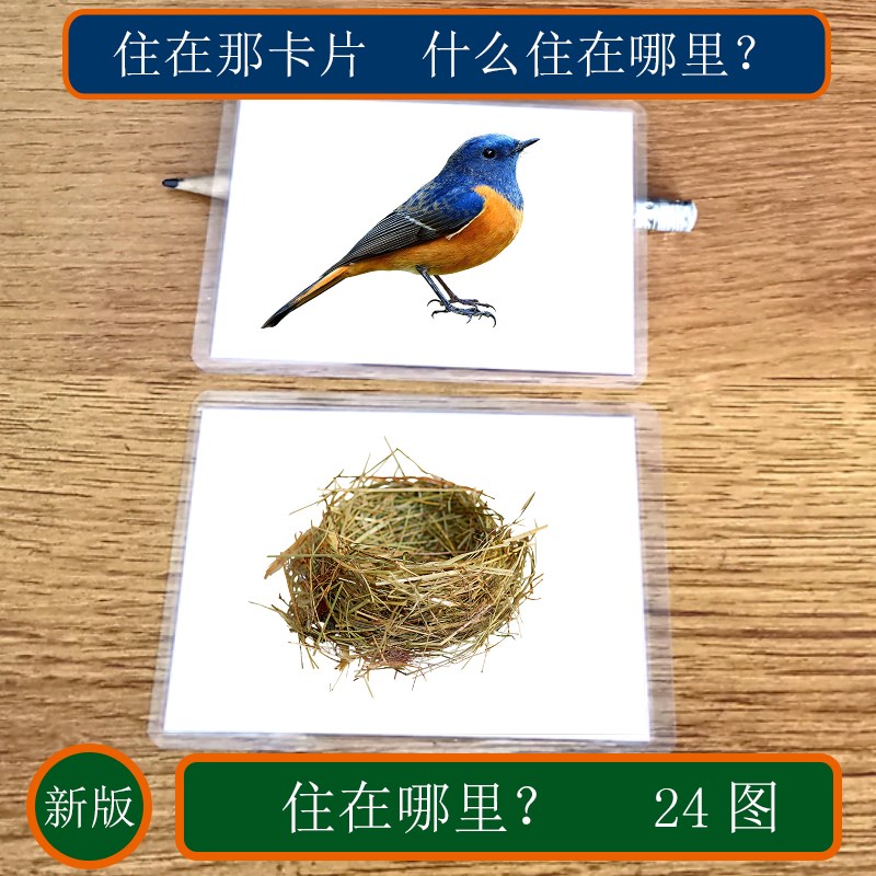 速发住在哪症片自闭卡孤独症复BA儿童语言发育迟缓康A训练教具卡