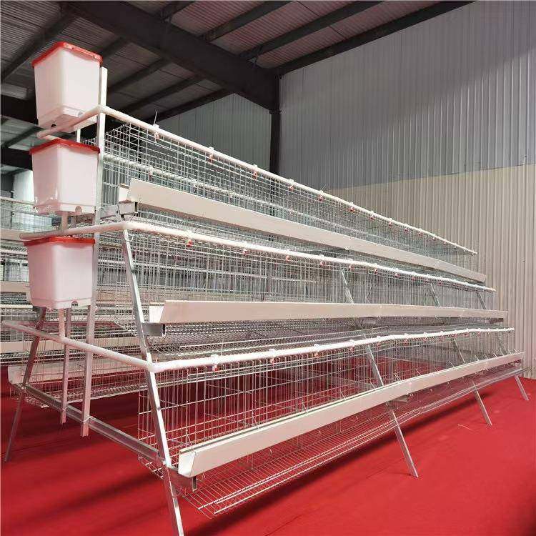 养殖场三层四层立体式阶梯式蛋鸡笼镀锌材质A字型H字形层叠鸡笼,畜牧/养殖物资,特种养殖设备,淘宝优惠券,粉丝福利购,淘宝优惠卷