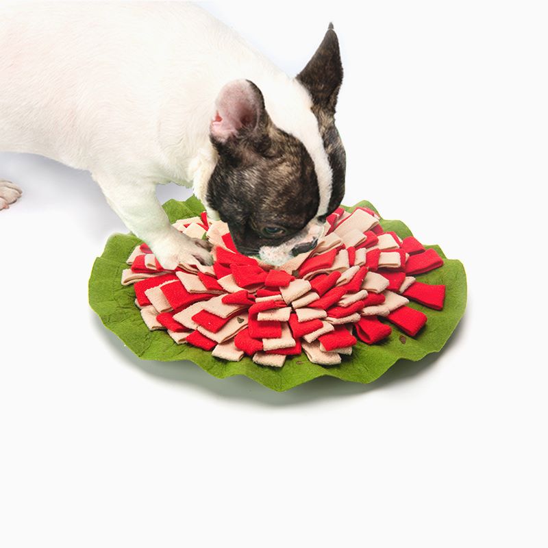 宠物嗅闻垫 狗狗猫咪喂养垫子慢食狗碗 减肥神器一件代发宠物用品