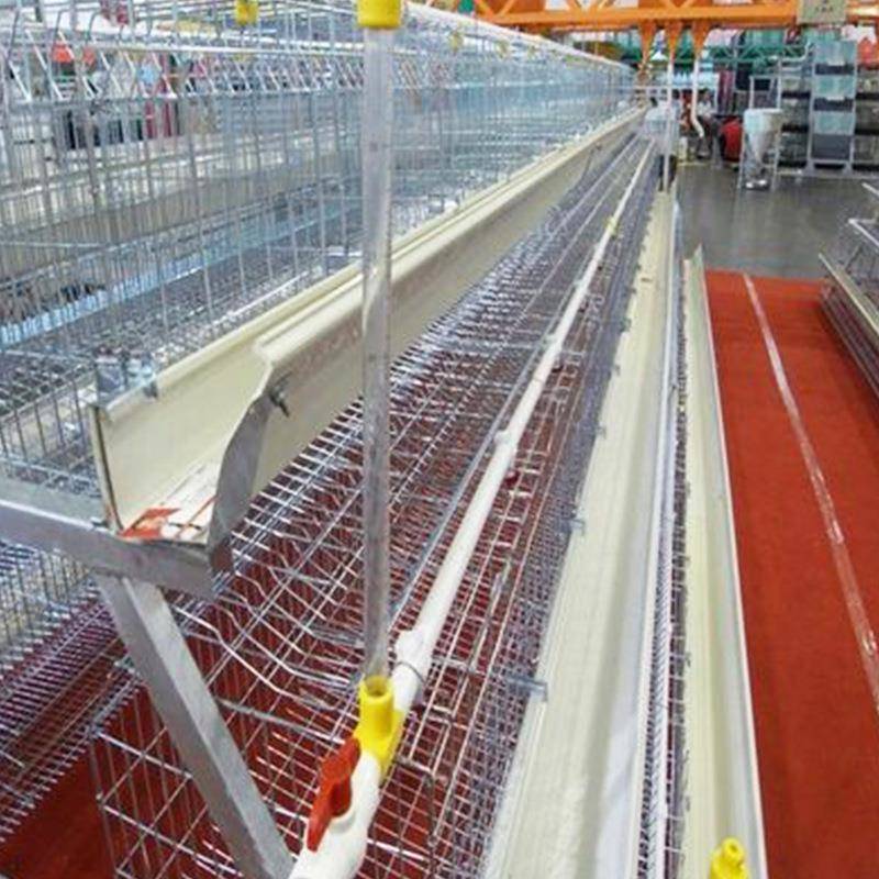 自动化阶梯式养鸡设备多层A型养殖笼全新多层笼具宏伟蛋鸡笼