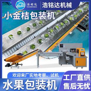 全自动水果包装机脐橙柠檬小金桔套袋打包机小青桔橙子包装机