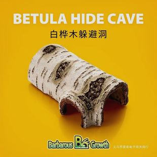 爬宠躲避屋晒台瘤尾豹纹守宫鬃狮蜥蜴寄居蟹岩石角落造景摆件洞穴