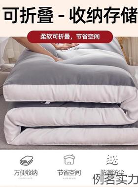 地垫睡卧垫55526榻榻米地铺专用睡垫垫床垫软家用室出租房不可折