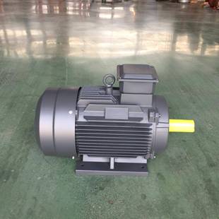 厂LYH家销售迷你YX Y2列三相异步电机矿井系设3备用803v50hz