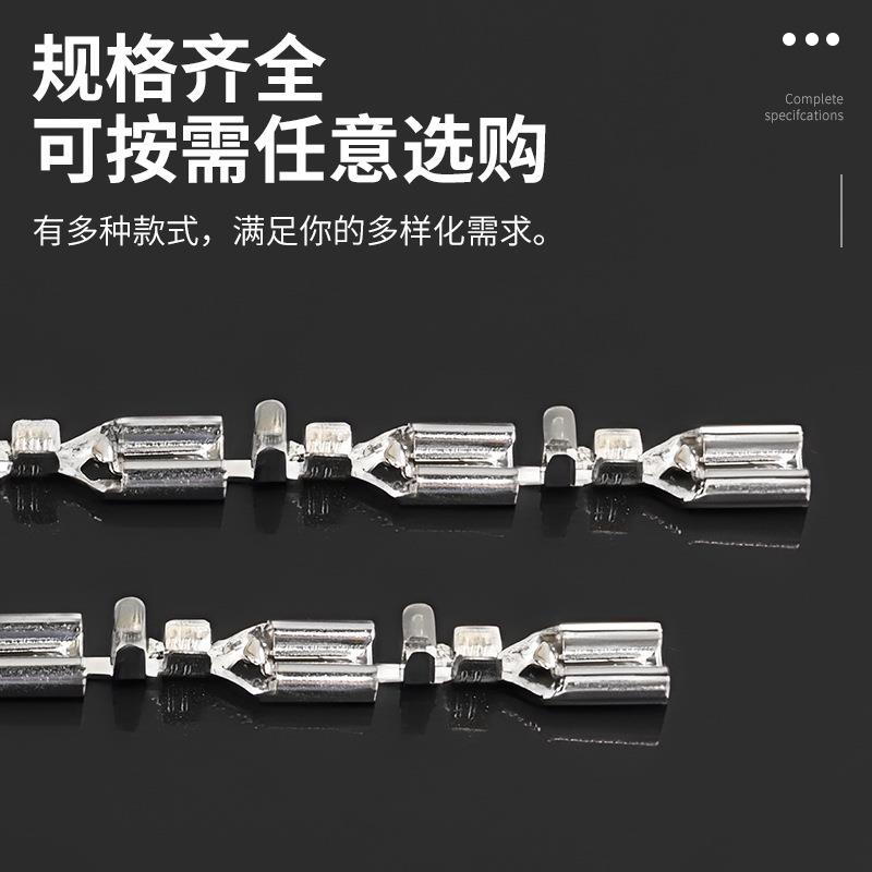 厂家直销线束母端接快头速接线端子汽车连接RGH2器DJ6-J6.3B锁2扣