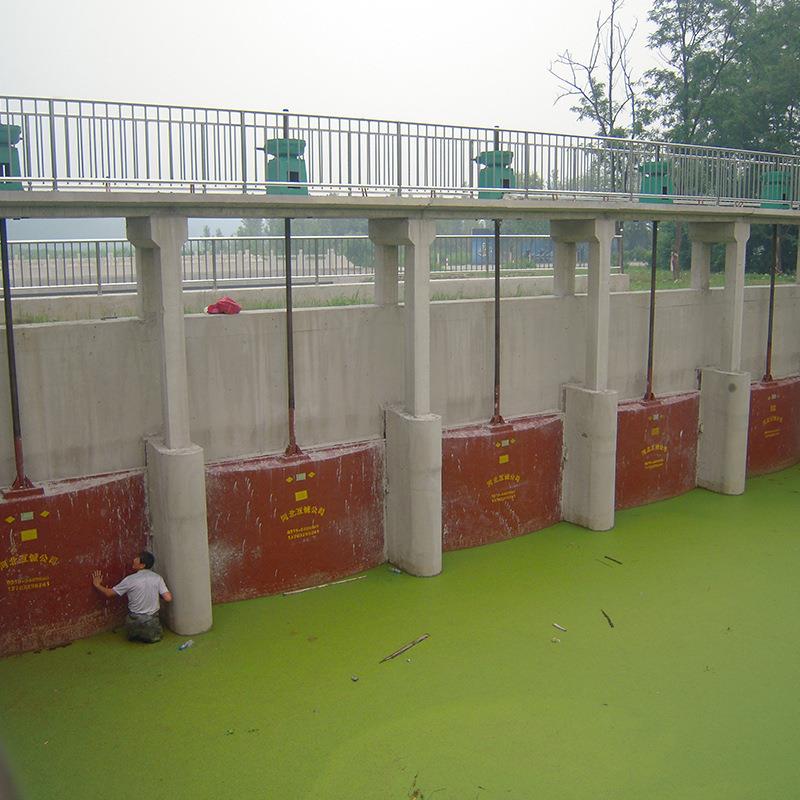 镶铸铁闸水门水BCV库沟渠拦截双向止水污机处理铜密封门一体铸铁