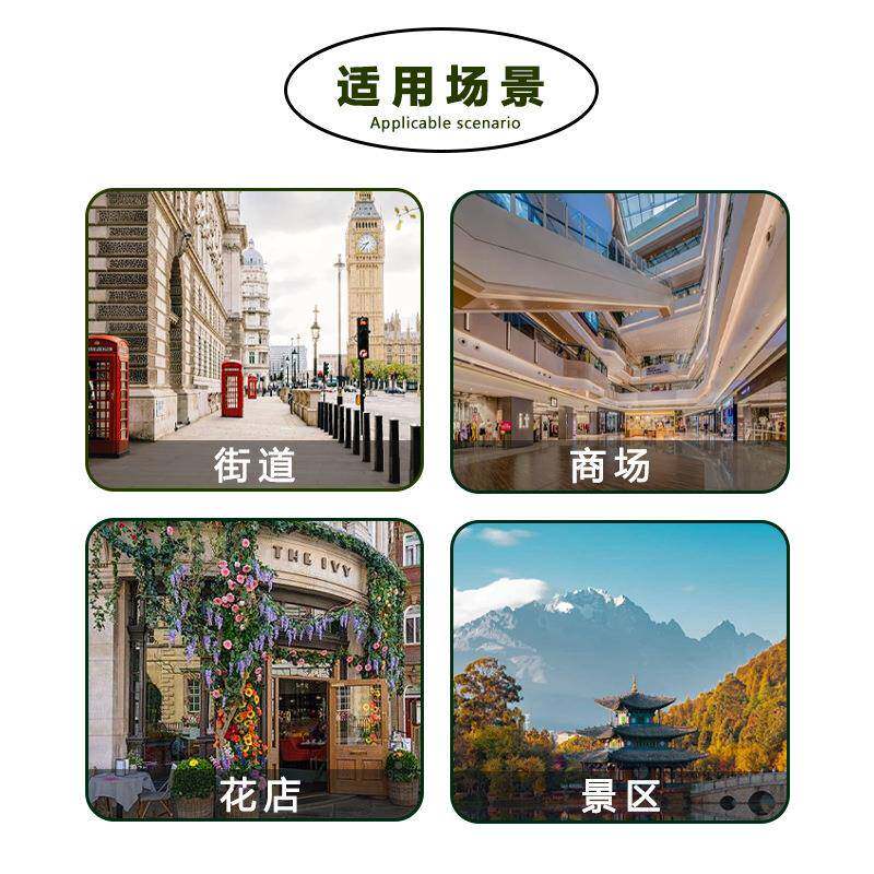 鲜花保无品牌/小鲜柜24时商扫码鲜花展示用卉柜花店花花束无人自