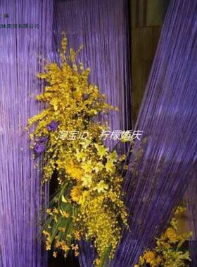 加线帘超长双LYP头婚庆婚礼布置布场帘装子流苏饰帘造型美陈高4米