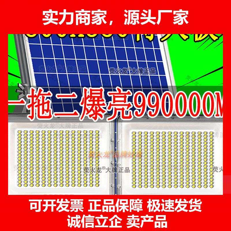 德国十大品牌一拖二太阳能灯家用户外庭院灯特亮室内外照明灯防水