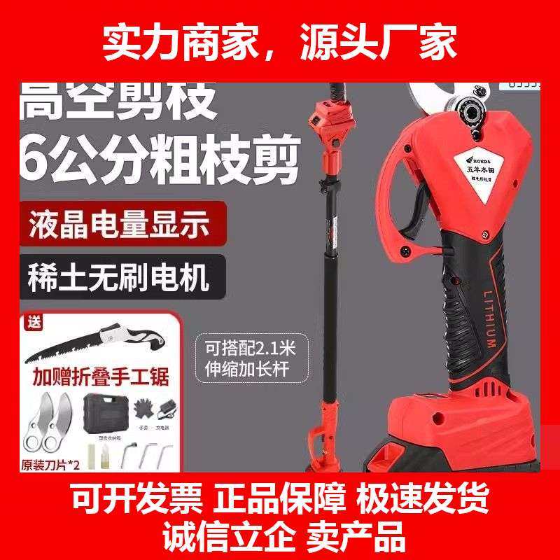 德国十大品牌强力电剪刀果园修枝剪树枝专用电动无线锂电园林修剪
