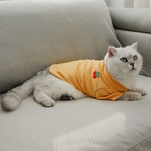 Polo领四季 IBEANS宠物春秋打底衫 百搭磨毛狗狗衣服T恤莫兰迪内搭