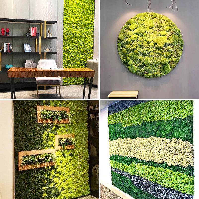 永生藓苔真苔藓婚庆家居工程造景真绿植e118仿物真植仿仿真花