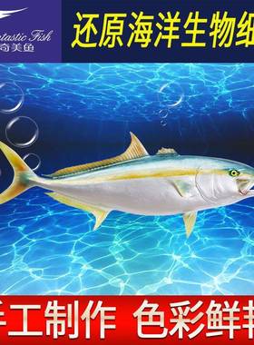 海品洋壁工艺琥鱼半边玻璃钢雕塑hpy47室内装饰仿真鱼模型墙挂珀