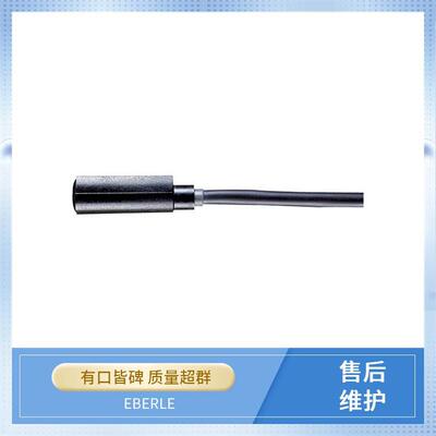 湿度房间控制器 052472143094 EBERLE 时钟温控器 E4D12A00BD710