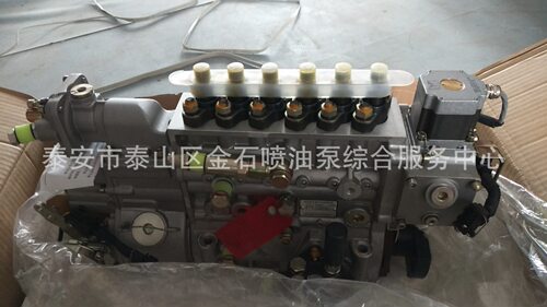 重庆油泵 CB6H981型 重汽原厂油泵总成 VG1093080110 原厂现货