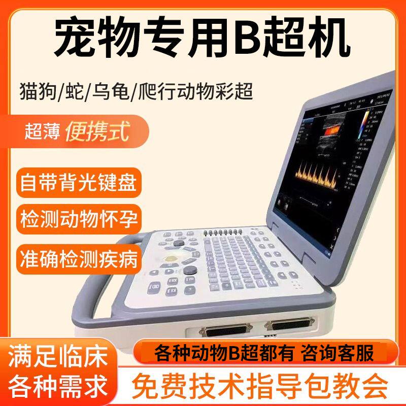 猫狗测孕兽用B超超声便携式黑白彩超爬行动物乌龟蛇高清宠物b超机